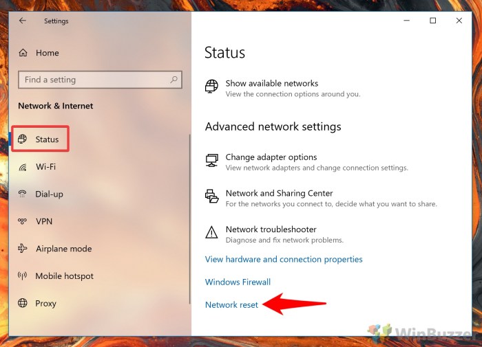 Connection settings winbuzzer perform